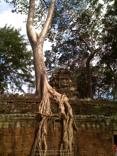 03.jpgのサムネール画像