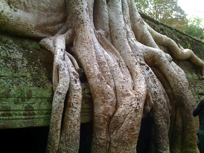 04.jpgのサムネール画像