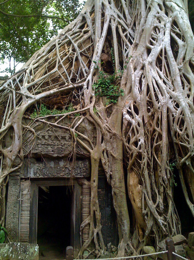 05.JPGのサムネール画像